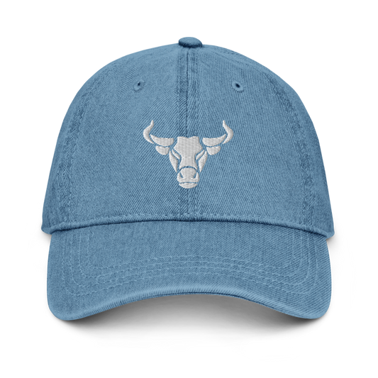 Denim Logo Hat